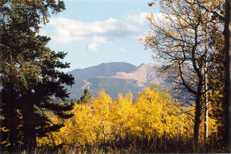 00 County Road 25, Divide, CO 80814