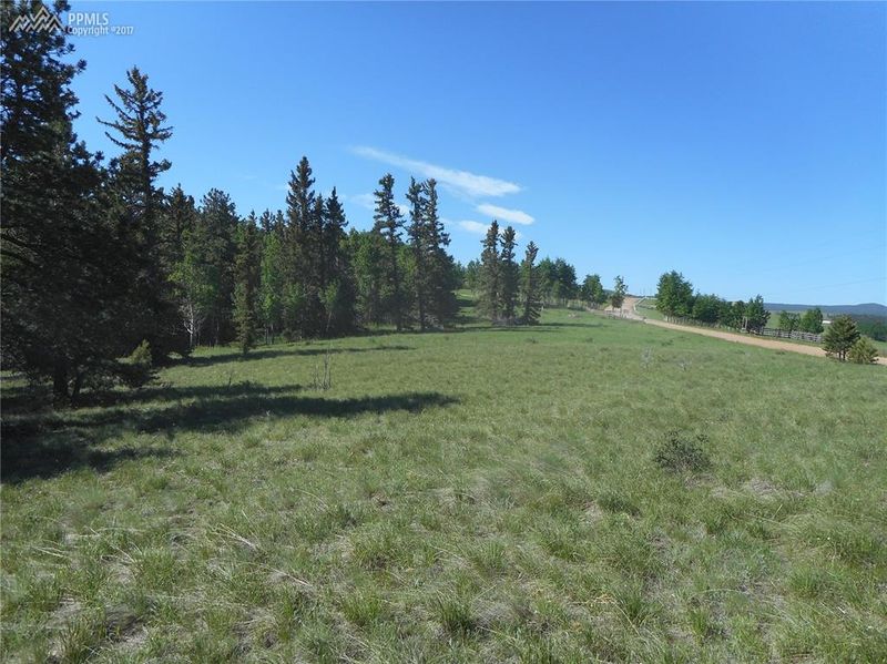 00 County Road 25, Divide, CO 80814