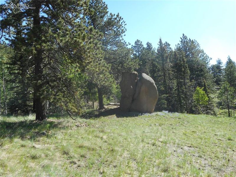 00 County Road 25, Divide, CO 80814