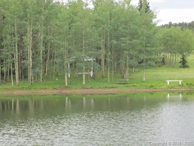 00 County Road 42, Divide, CO 80814