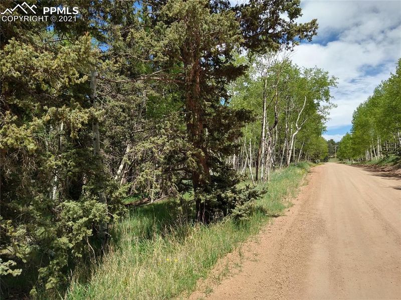 00 Elfin Glen Dr, Divide, CO 80814