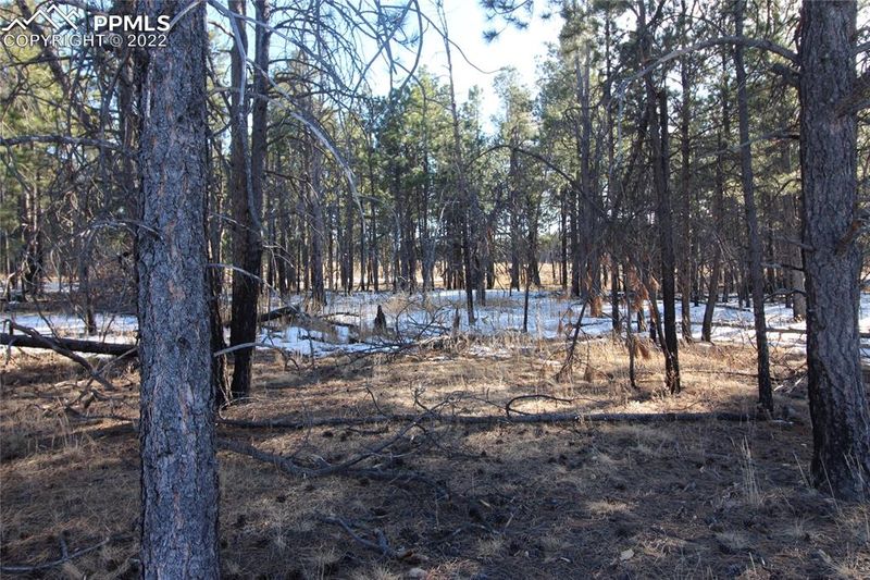 00 Goodson Rd, Colorado Springs, CO 80908