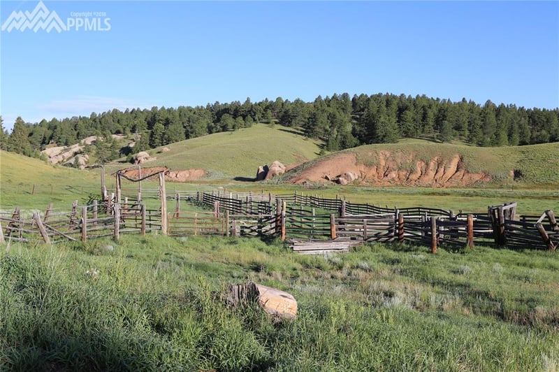 00 W Highway 24 Hw, Divide, CO 80814