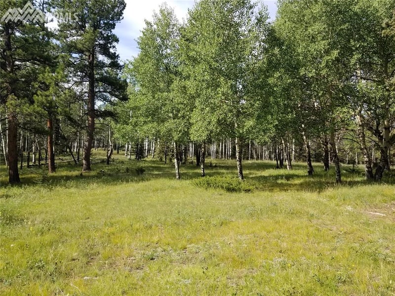 00 W Highway 24 Hw, Divide, CO 80814