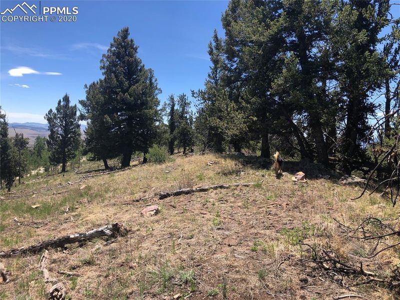 00 Middle Fork Vi, Fairplay, CO 80440