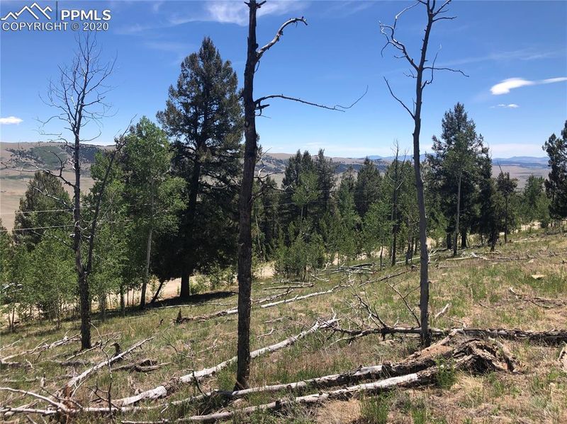 00 Middle Fork Vi, Fairplay, CO 80440