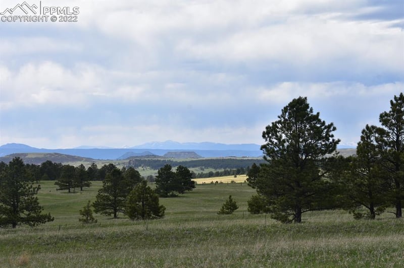 00 E Palmer Divide Ave, Larkspur, CO 80118