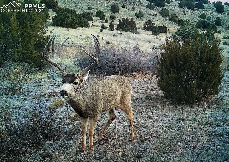 00 Rock Creek Rd, Pueblo, CO 81005