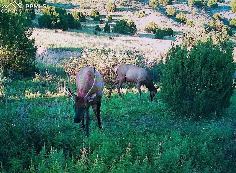 00 Rock Creek Rd, Pueblo, CO 81005