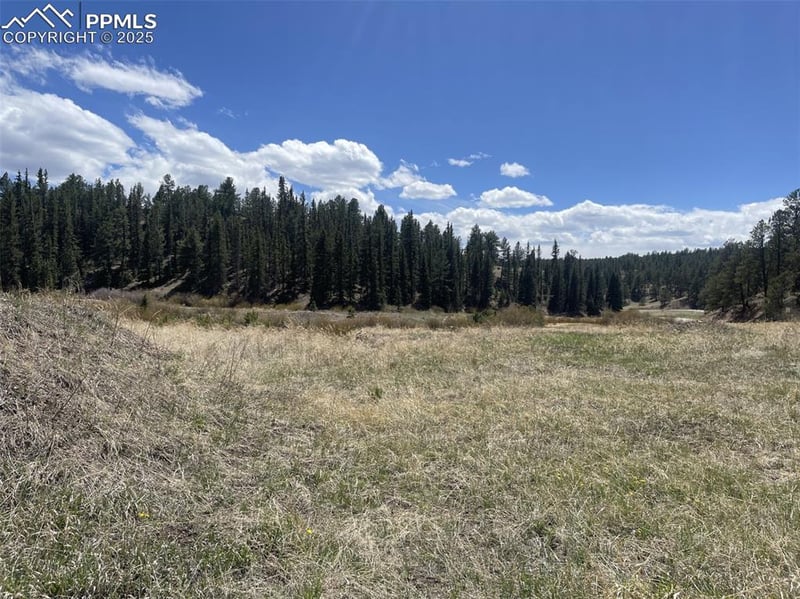 00 Wildhorn Rd, Florissant, CO 80816