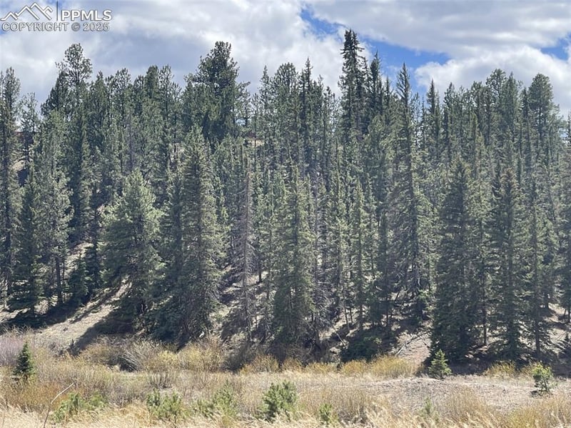 00 Wildhorn Rd, Florissant, CO 80816
