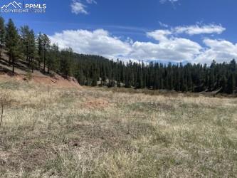 00 Wildhorn Rd, Florissant, CO 80816