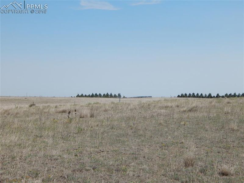 000 County Road 137, Simla, CO 80835