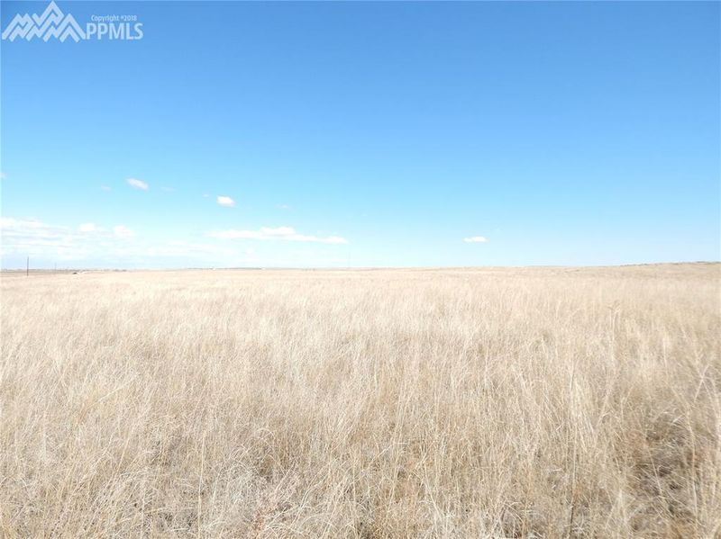 000 County Road 153, Agate, CO 80101