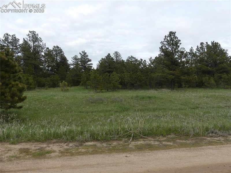 000 Saddle Blanket Ln, Peyton, CO 80831