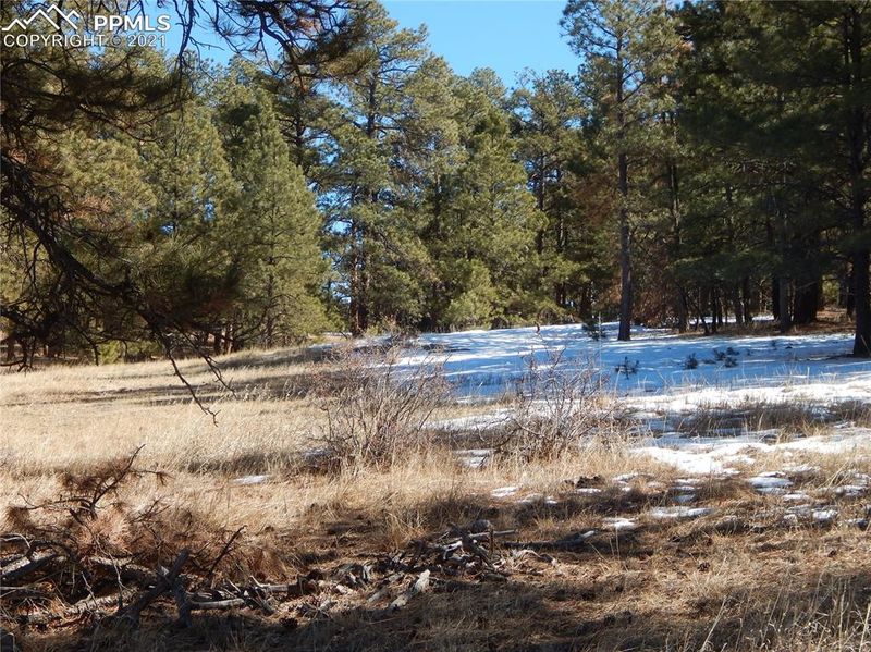 0000 County Road 39 Rd, Elbert, CO 80106