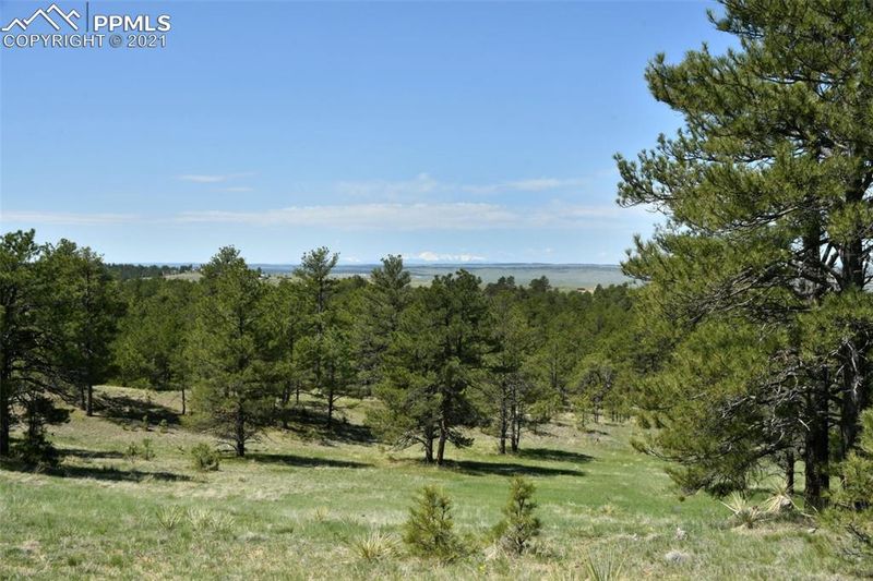 0000 Onyx Trl, Deer Trail, CO 80105