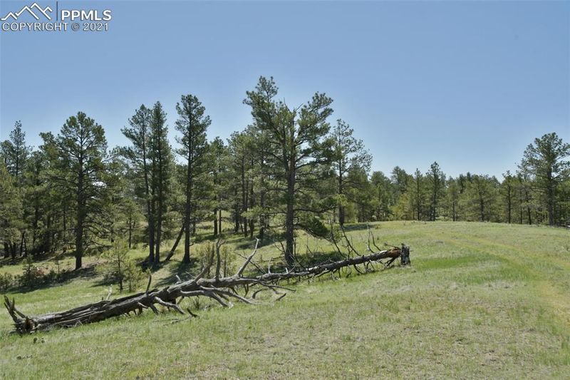 0000 Onyx Trl, Deer Trail, CO 80105