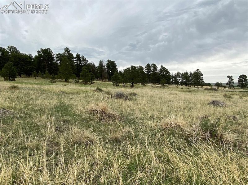 0000 Unknown, Kiowa, CO 80117