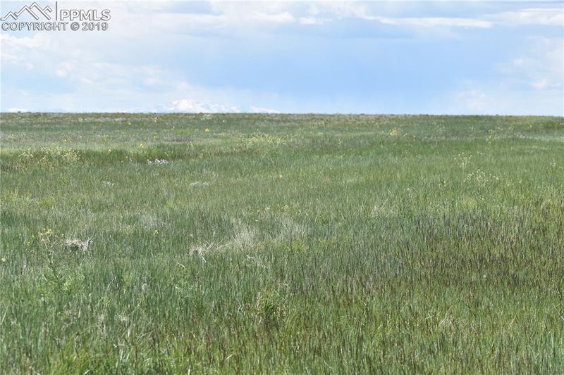 00000 County Road 169, Matheson, CO 80830