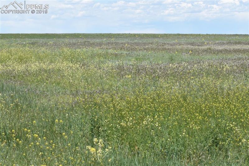 0000000 County Road 169, Matheson, CO 80830