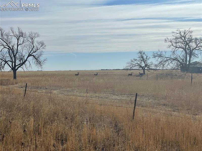 00001 County Road 149 Rd, Ramah, CO 80832