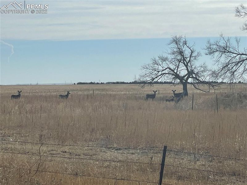 00001 County Road 149 Rd, Ramah, CO 80832