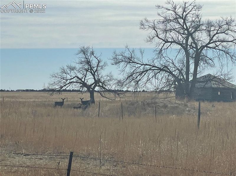 00001 County Road 149 Rd, Ramah, CO 80832