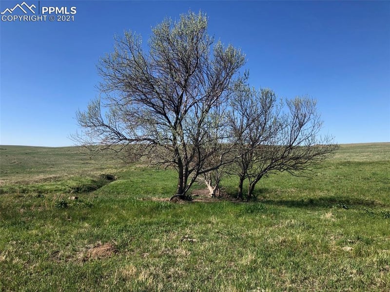03 Mikita Rd, Calhan, CO 80831