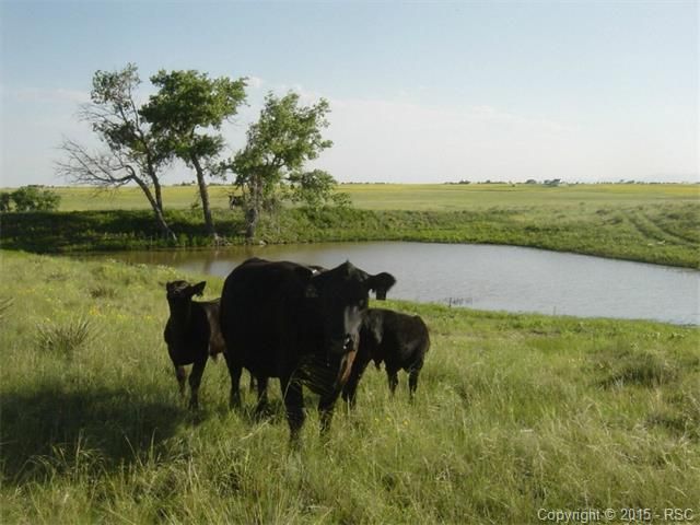 1 Log Rd, Peyton, CO 80808