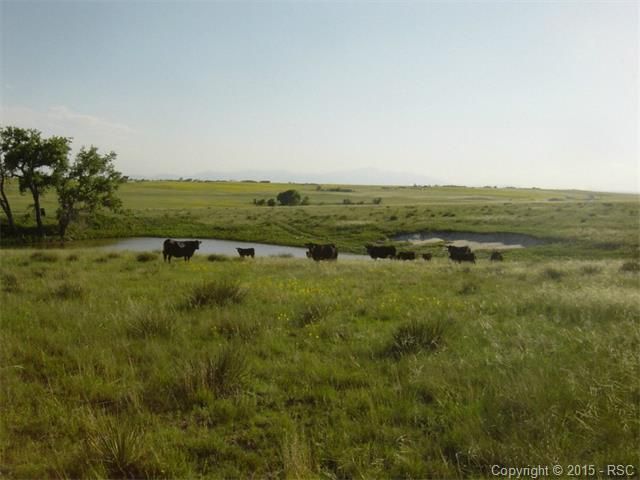 1 Log Rd, Peyton, CO 80808