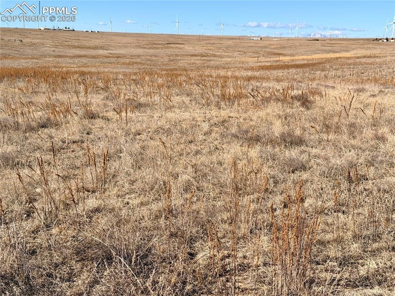 1 Mulberry Rd, Calhan, CO 80808