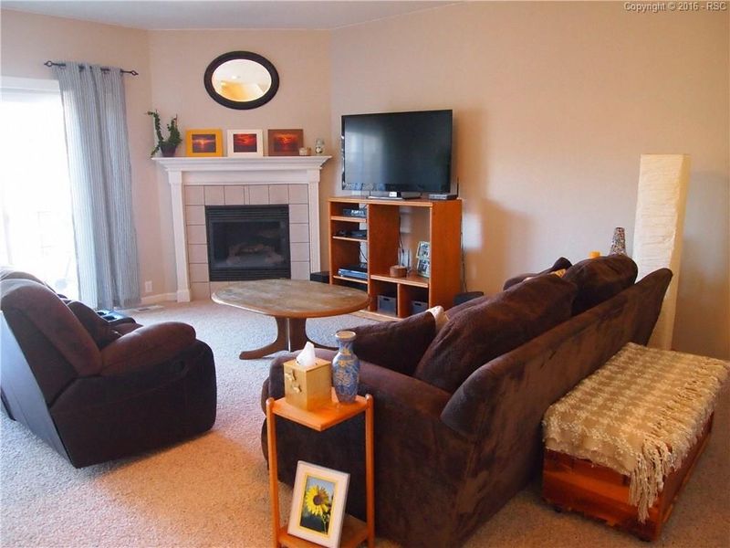 1005 Burning Bush Point, Monument, CO 80132