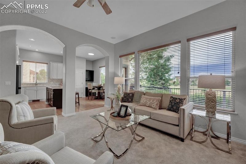 10091 Palisade Ridge Dr, Colorado Springs, CO 80920