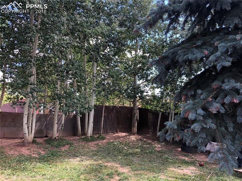 101 S Boundary St, Woodland Park, CO 80863
