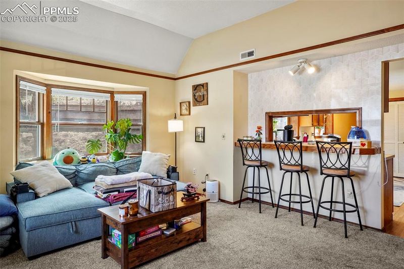 101 Deer Path Ave, Manitou Springs, CO 80829