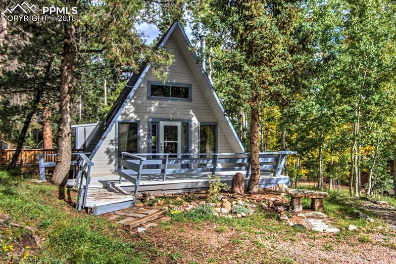 101 Willow Rd, Divide, CO 80814