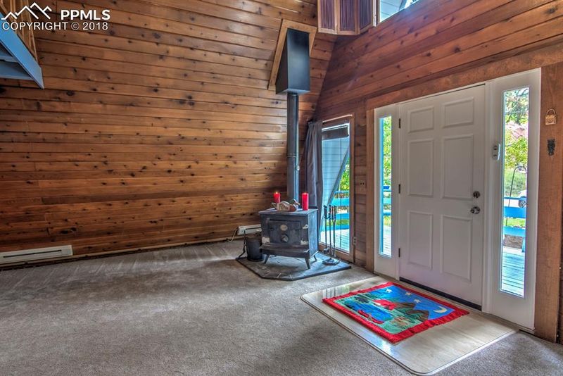 101 Willow Rd, Divide, CO 80814
