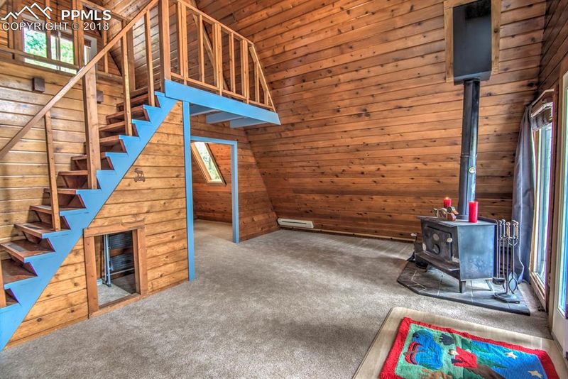 101 Willow Rd, Divide, CO 80814