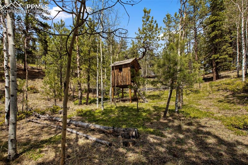 1011 Bison Creek Trl, Divide, CO 80814