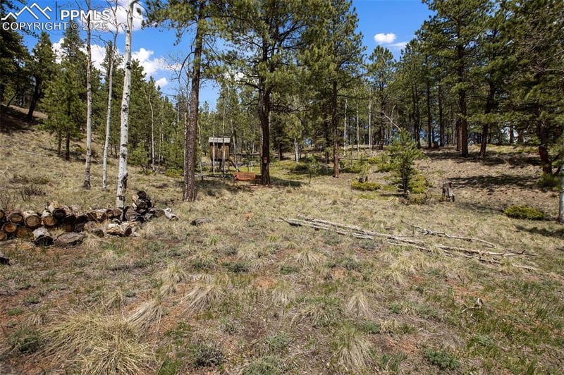 1011 Bison Creek Trl, Divide, CO 80814