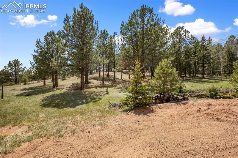 1011 Bison Creek Trl, Divide, CO 80814