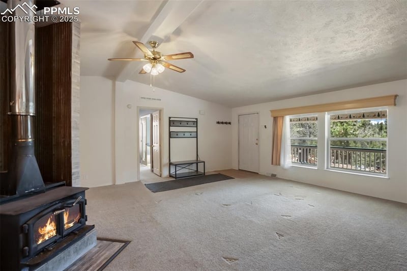 1011 Bison Creek Trl, Divide, CO 80814