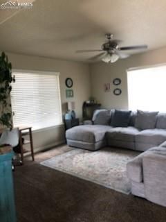 10126 Silver Stirrup Dr, Colorado Springs, CO 80925