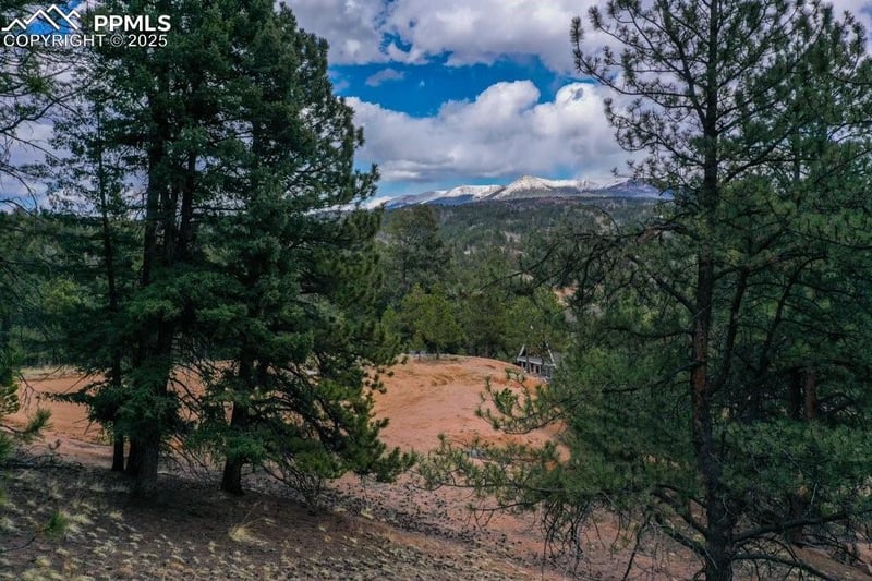 102 Blue Bell Cir, Cripple Creek, CO 80813
