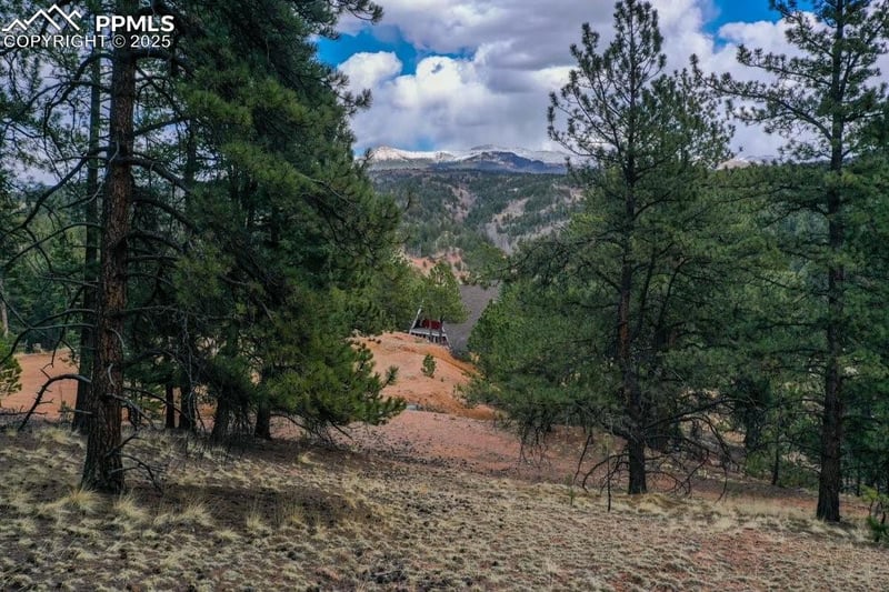 102 Blue Bell Cir, Cripple Creek, CO 80813