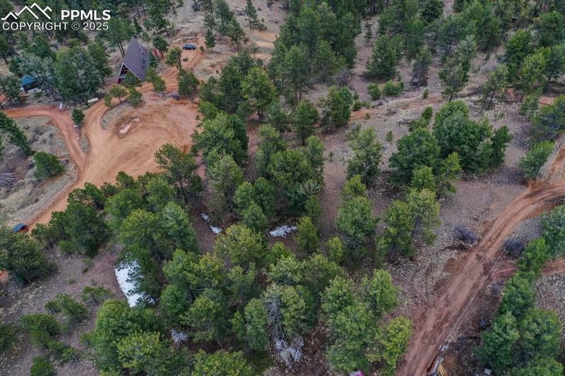 102 Blue Bell Cir, Cripple Creek, CO 80813