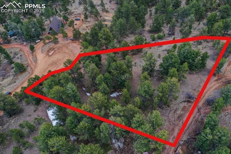 102 Blue Bell Cir, Cripple Creek, CO 80813