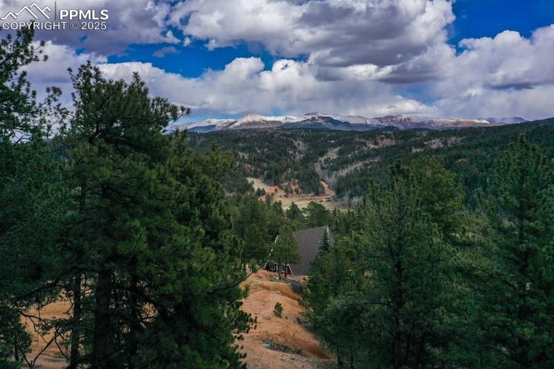 102 Blue Bell Cir, Cripple Creek, CO 80813