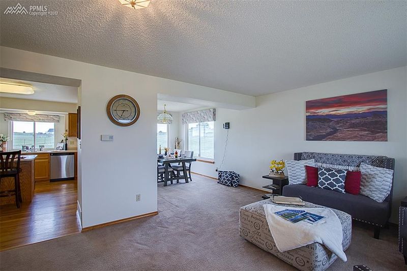 10290 Raygor Rd, Colorado Springs, CO 80908